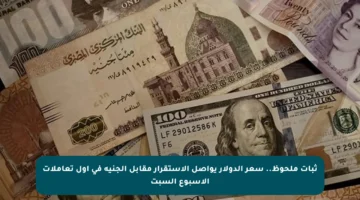 ثبات ملحوظ.. سعر الدولار يواصل الاستقرار مقابل الجنيه في أول تعاملات الأسبوع السبت